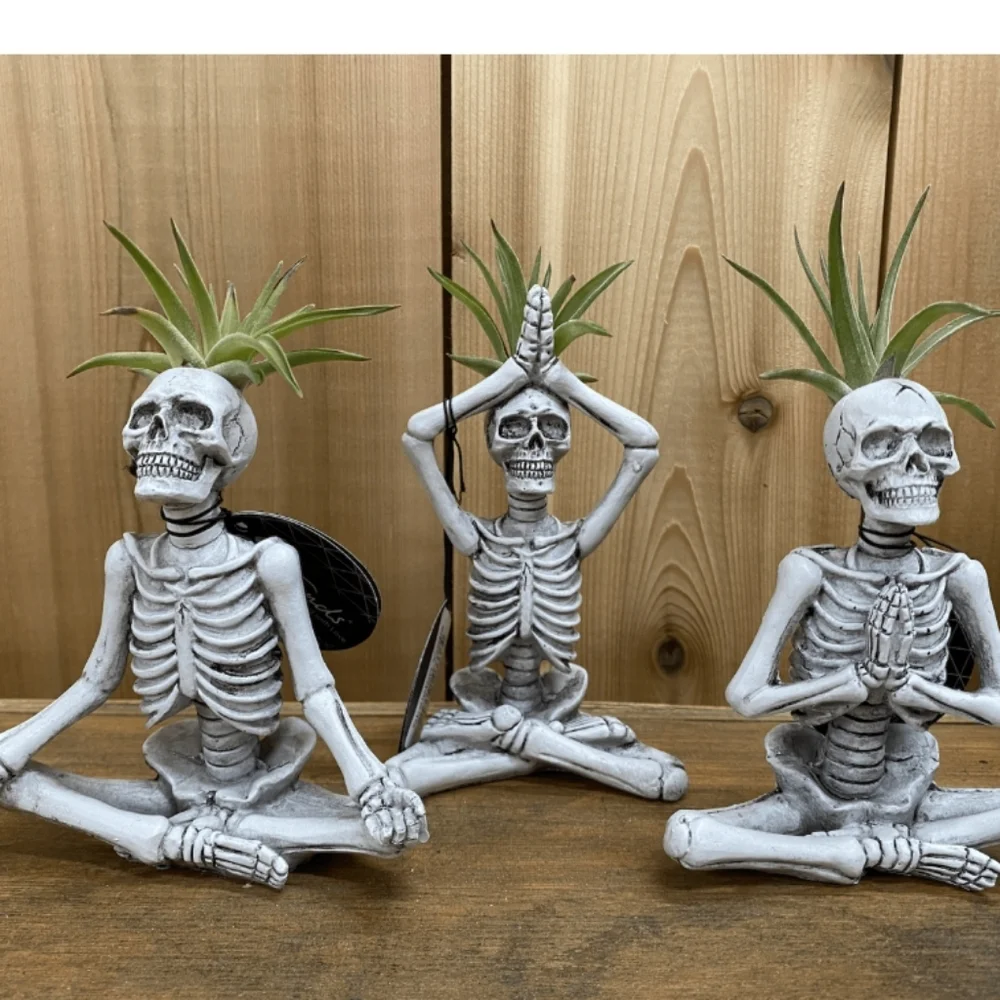Trader Joe's Yoga Skeletons Set Of 3